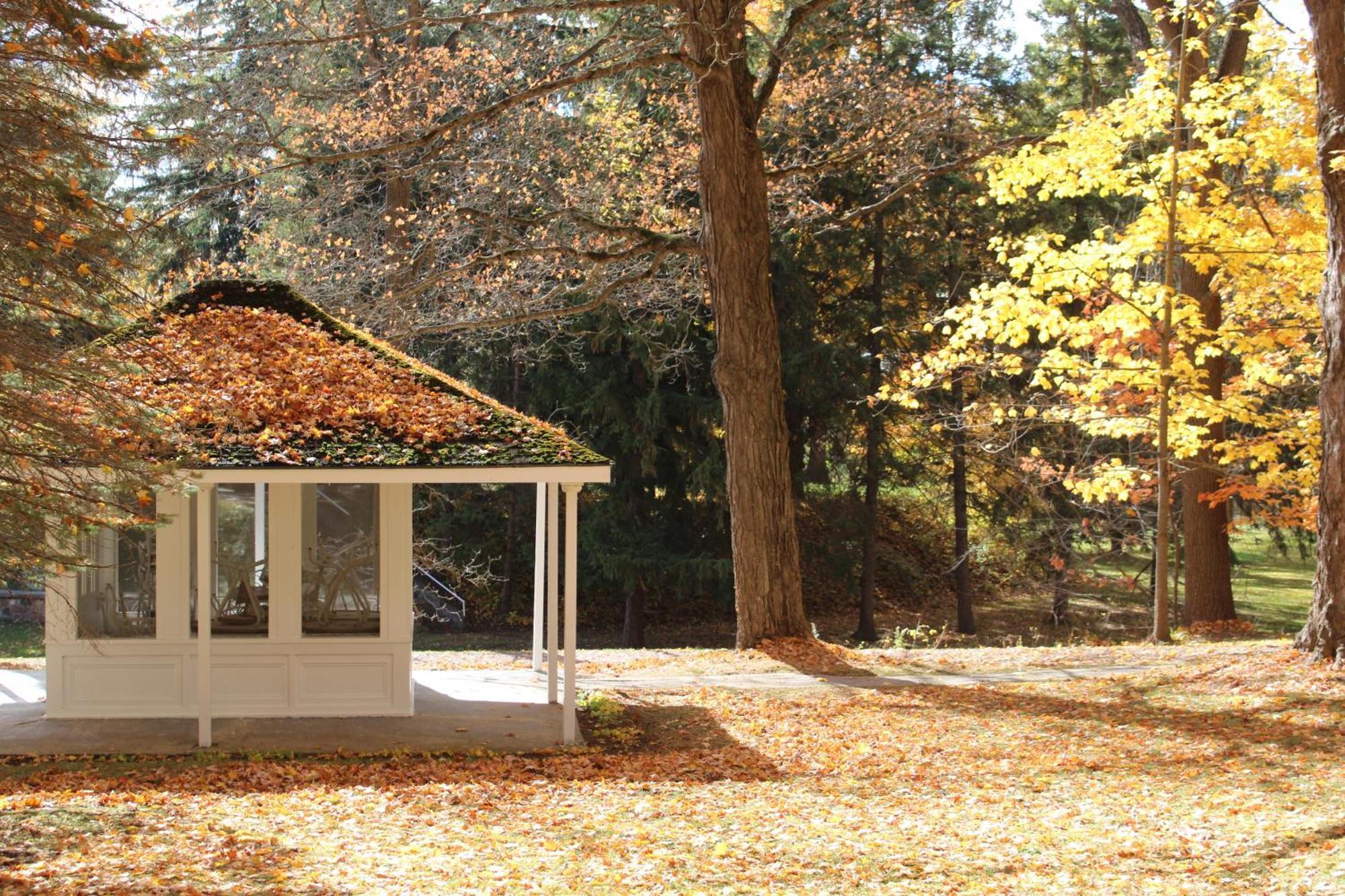 Westover Inn Saint Marys エクステリア 写真
