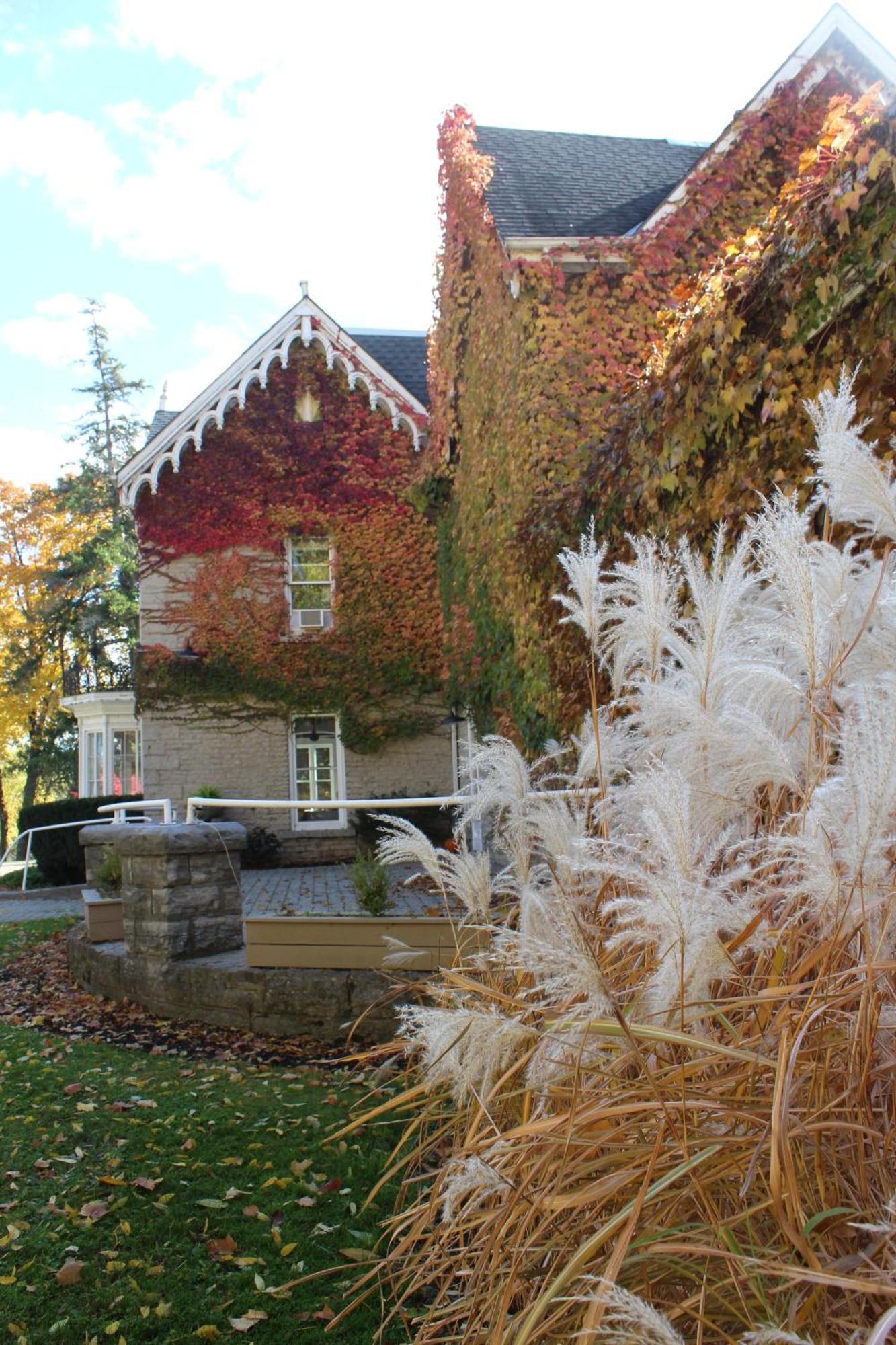 Westover Inn Saint Marys エクステリア 写真